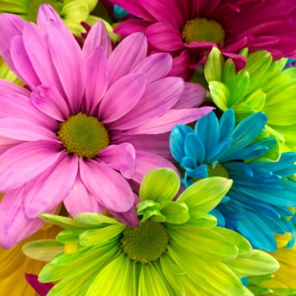 cynthiaclark7